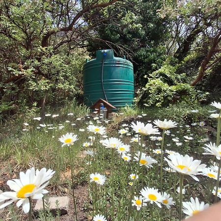 His Vessel Guesthouse Clarens Fs Exteriör bild